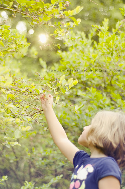 Greenville Family Photographer