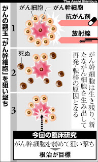 がん幹細胞 分子標的治療薬 がん治療法 抗癌剤 国立がん研究センター 東病院