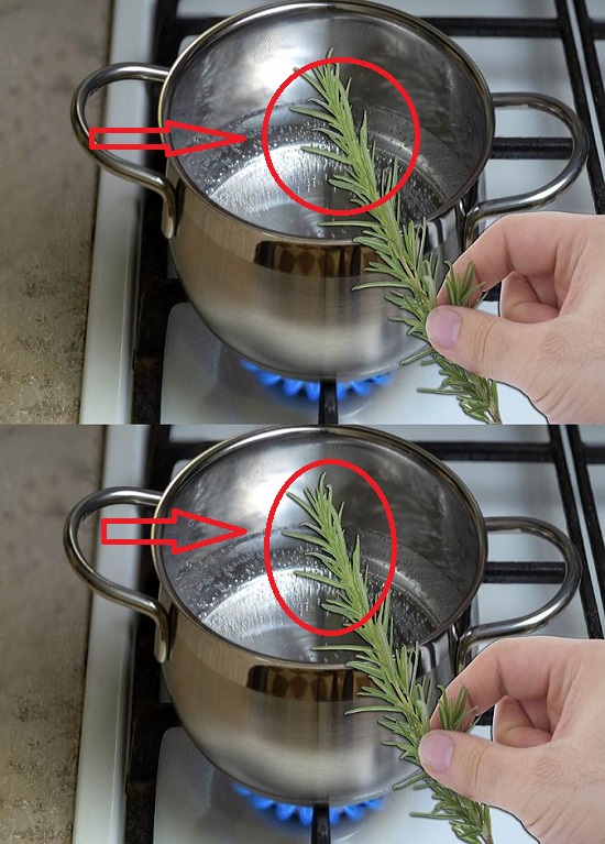 Boil 10 Sprigs of Rosemary at Home and Be Amazed by What You Notice After a While