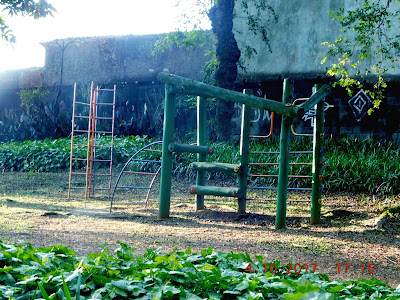 Área verde da vila dos remédios - Variadas