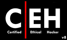 Certified Ethical Hacker Course in PDF (CEHv8)