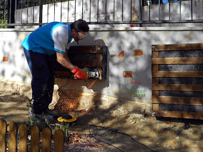 Jardín vertical en el CEIP Alfredo Landa