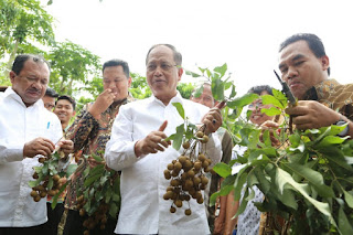 Menristekdikti Dukung Pengembangan Varietas Buah dan Ternak Sapi di Blora