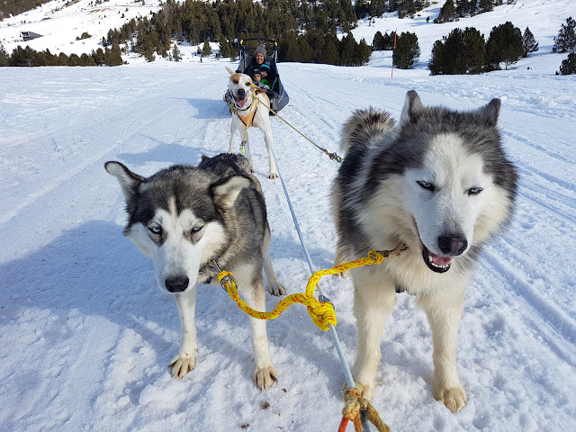 andorra+nens+hivern+estiu+caldea+raquetes+neu+mushing+neu+mirador