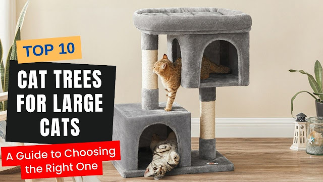 Top 10 Cat Trees for Large Cats