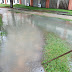 Construction of a walkway using plastic bottles