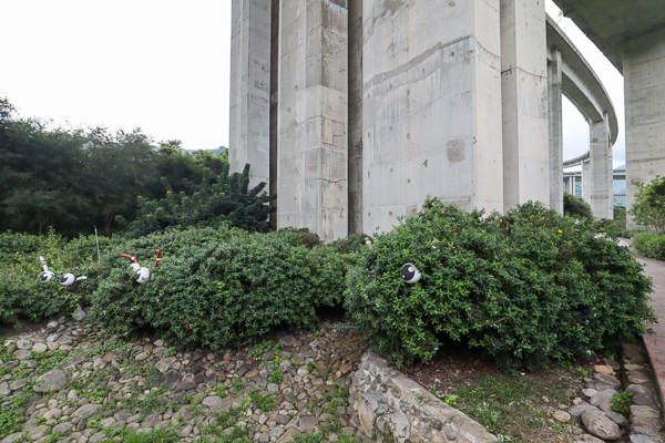 南投國姓交流道橋聳雲天綠雕園區散步欣賞雄偉建築，公路十大美景