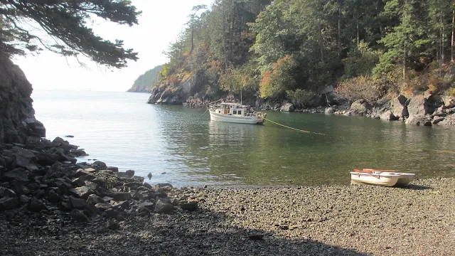 Lummi Island campground