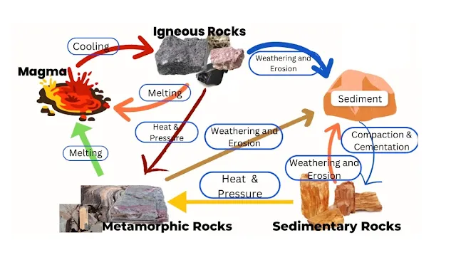 A diagram showing the different stages of the rock cycle.