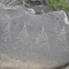 View album