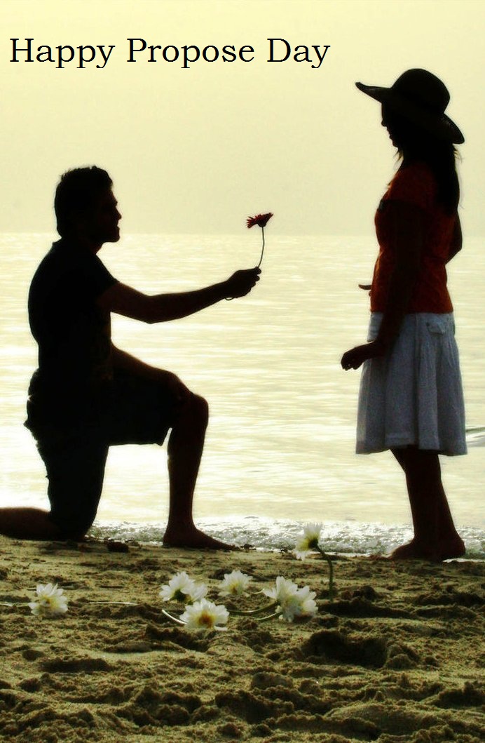 Happy Propose Day 2013 | Amazing Wallpapers