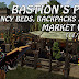 Bastion's Point - Fancy Beds, Backpacks & More (11/11/2017)