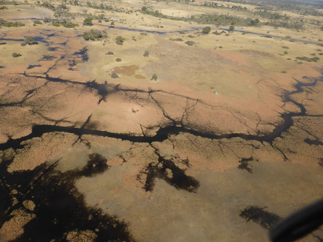 Delta del Okawango, scenic flight