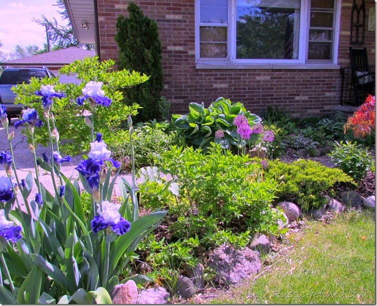 Spring Garden Photos 2015 @ Rustic-refined.com