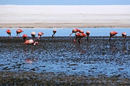 Salar de Uyuni 002