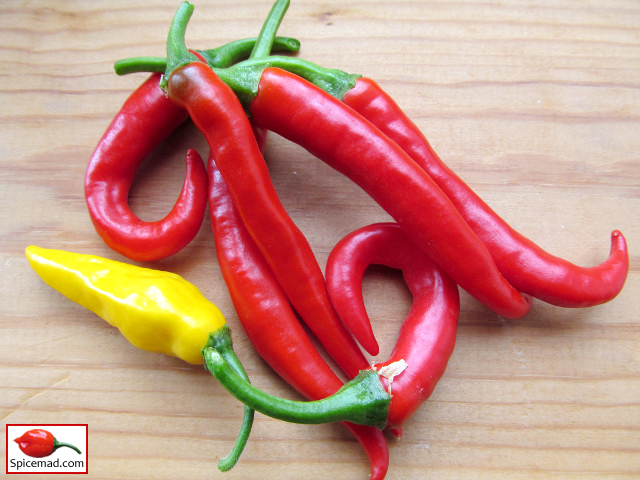 Chilli Harvest - 14th July 2020