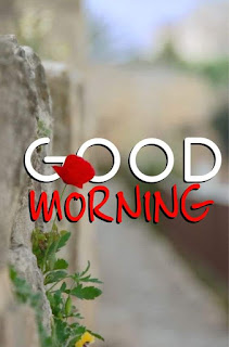 Good Morning Wishes 2020