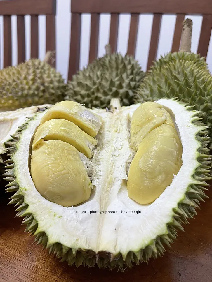 Musim Buah Durian Jun 2023