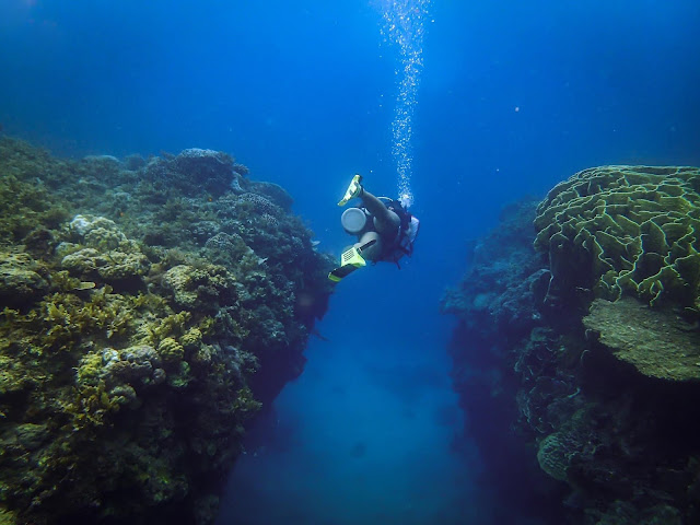 Cebu | Dive at Kuya Jom’s Crib, Catmon