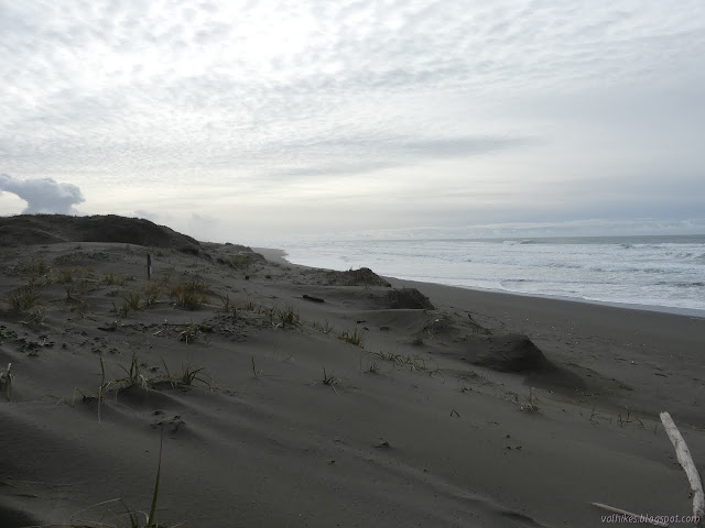 looking south over the edge of the dunes and the beach