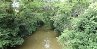 Alrededores del Castillo de Butrón.