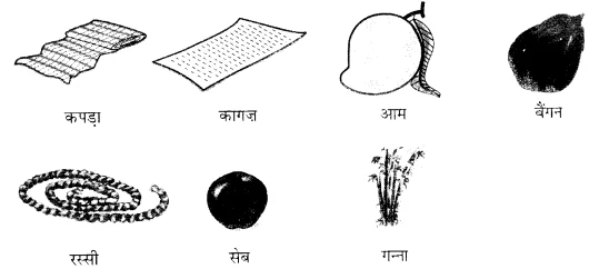 Solutions Class 1 रिमझिम Chapter-7 (रसोईघर)