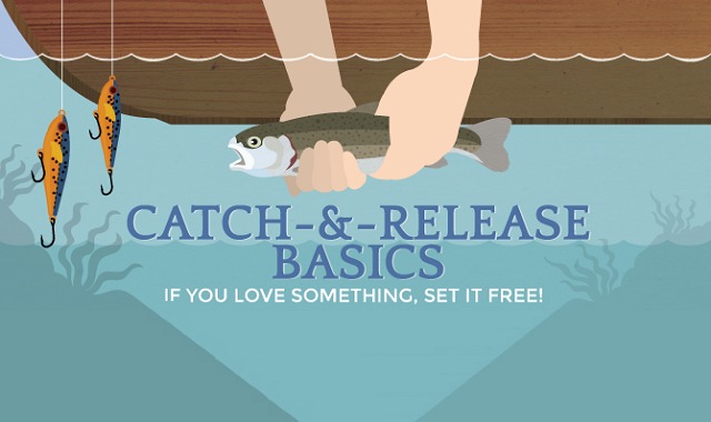 Guide to Catch-and-Release Fishing If You Love Something, Set it Free!