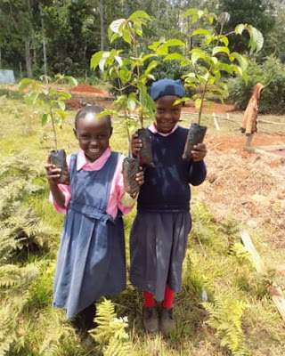 Two Kenyan girls carry seedlings, the sales of which provides local charity groups with an income that is then distributed as loans to help women’s farms and businesses