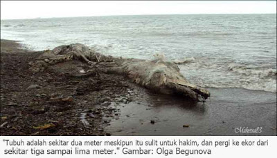 Ditemukan Mahluk Aneh Di Pulau Sakhalin