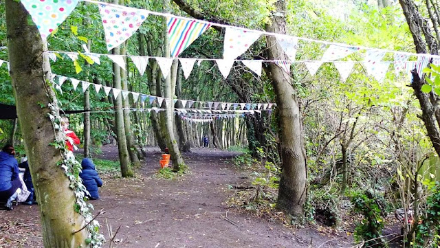 Getting Outdoors in Northumberland with Footprints on the Moon at Plessey Woods