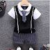 Summer Cotton Baby boy Clothing Sets Formal Infant 