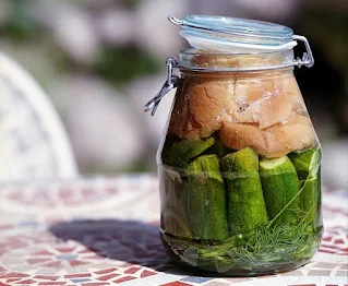 Cucumber Fermentation for Gut Health