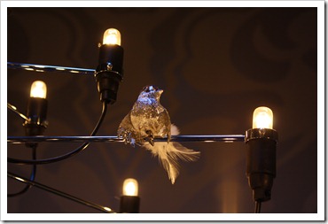 Studio December 2010 559