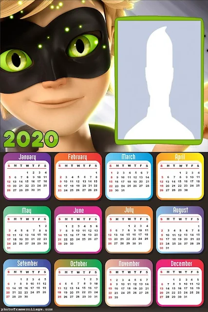 Cat Noir: Free Printable 2020 Calendar.