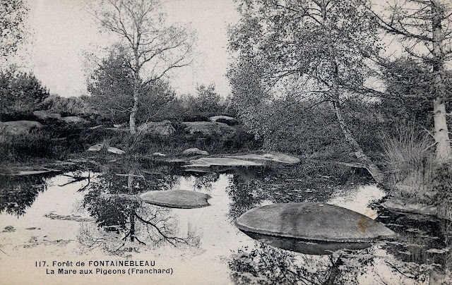 La mare aux Pigeons, forêt de Fontainebleau, stage photo.