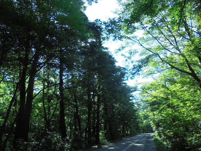 158号道路大山口停車場大山線を昇ります