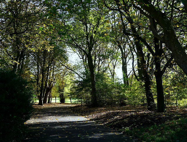 path surrounded by trees in sefton park, liverpool