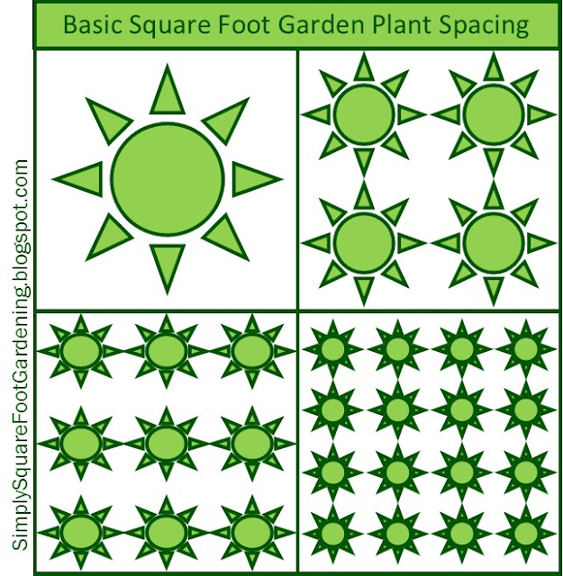 Basic Square Foot Gardening Plant Spacing