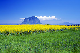 Jeju island 