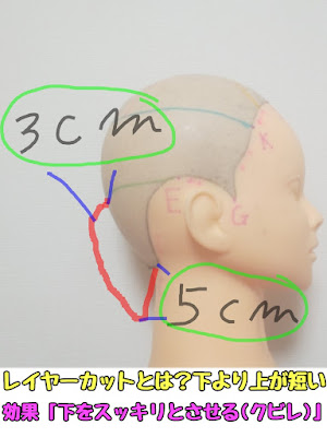 レイヤーカットとは？(展開図)