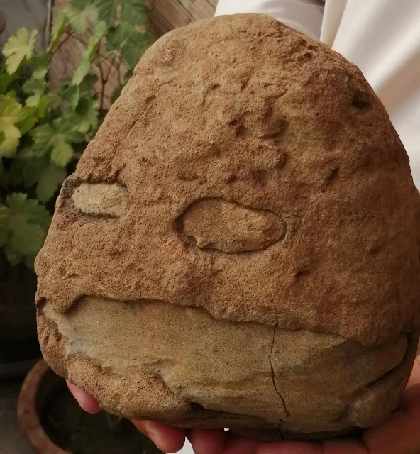 The Real Smiling Rocks (laughing Stones)  or The real natural weird stuff