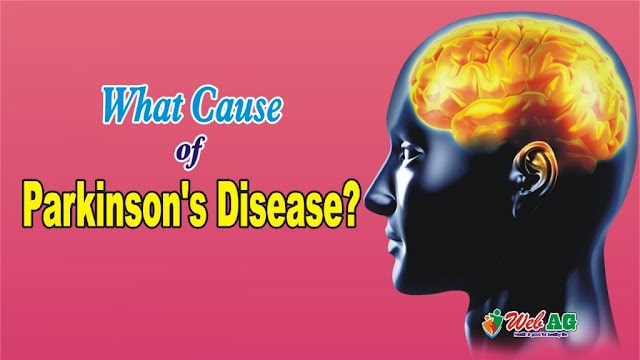 What Is The Cause of Parkinson's Disease?