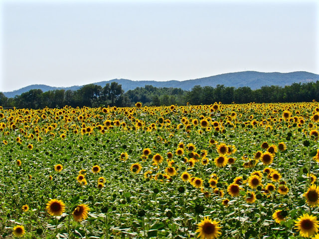 Road trip in Provence