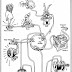 Simple Ironhead Wiring Diagram