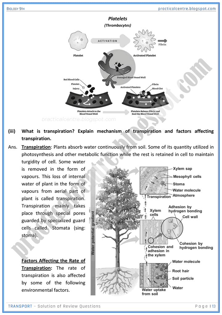 transport-review-question-answers-biology-9th-notes