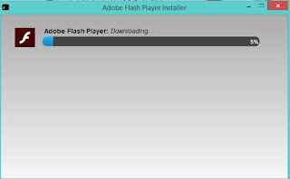 Download and install adobe flash player