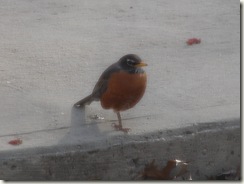 DSC00893