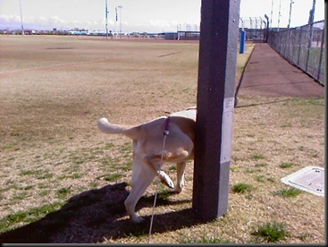 Photo-0013