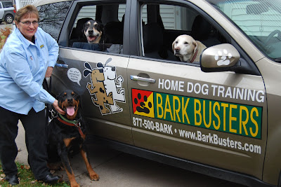 Bark Busters Home Dog Training