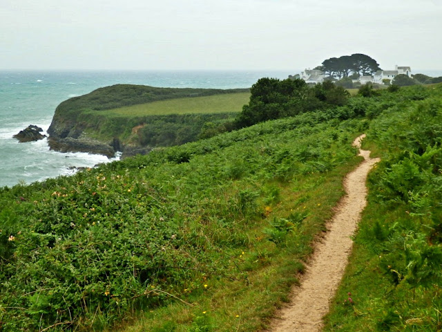 Coastal Path from Portmellon, Cornwall